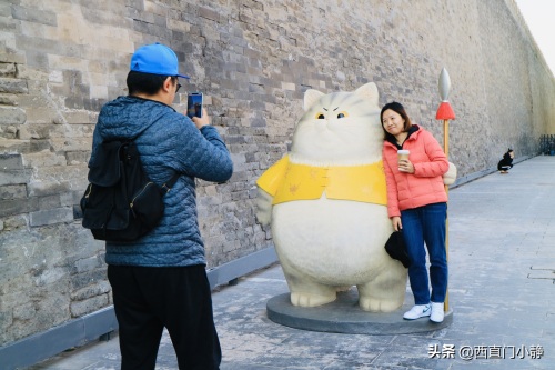 打卡新圣地来啦!北京故宫现巨型“御猫”萌翻众人