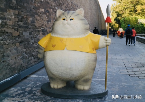 打卡新圣地来啦!北京故宫现巨型“御猫”萌翻众人
