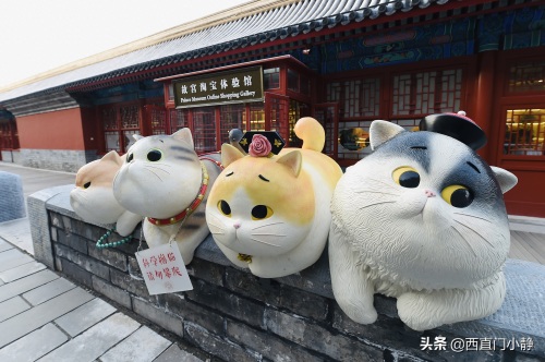 打卡新圣地来啦!北京故宫现巨型“御猫”萌翻众人