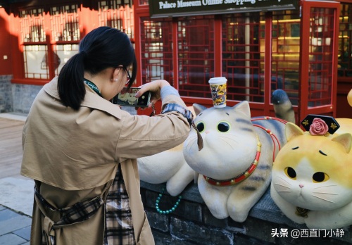 打卡新圣地来啦!北京故宫现巨型“御猫”萌翻众人