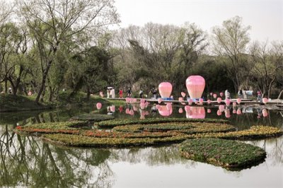 ​“十二花神”首次惊艳亮相西溪湿地  “花朝杭州”春日行暨西溪花朝系列活动正