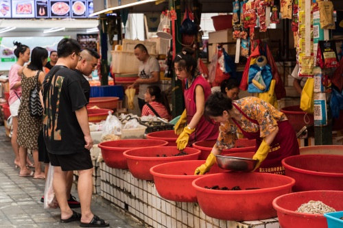 成都青石桥海鲜市场纪实 网友：品种不如武汉华南海鲜市场多