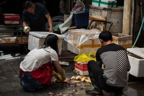 成都青石桥海鲜市场纪实 网友：品种不如武汉华南海鲜市场多