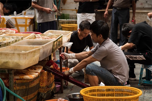 成都青石桥海鲜市场纪实 网友：品种不如武汉华南海鲜市场多