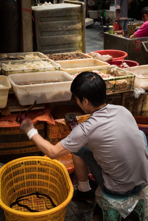 成都青石桥海鲜市场纪实 网友：品种不如武汉华南海鲜市场多