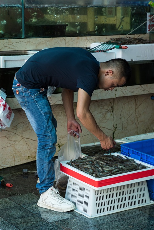 成都青石桥海鲜市场纪实 网友：品种不如武汉华南海鲜市场多