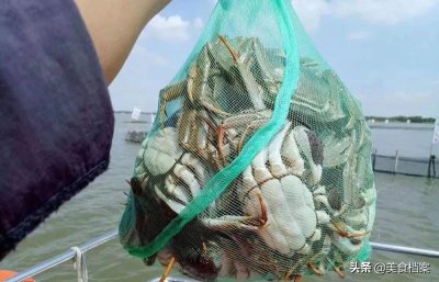 ​渔民教你如何区分螃蟹公母的方法，辨别螃蟹公母技巧看这1张图！