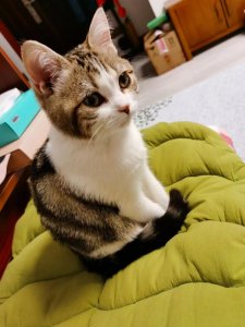 ​北京高考630分，选择北邮宏福校区，大家觉得怎么样