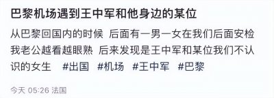​华谊总裁疑似出轨？王中军携神秘女子现身巴黎，女方撞脸左小青
