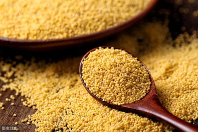 ​原来山西有名的“沁州黄”小米，以前叫“爬坡糙”？