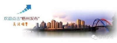 ​梧州警方凌晨围剿“毒村”｜出动400多警力，一举抓获37人！