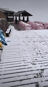 ​2025年江西第一场雪！下在武功山