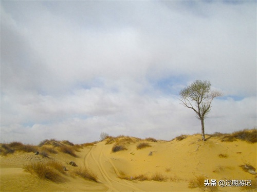 离北京最近的沙漠：库布齐沙漠
