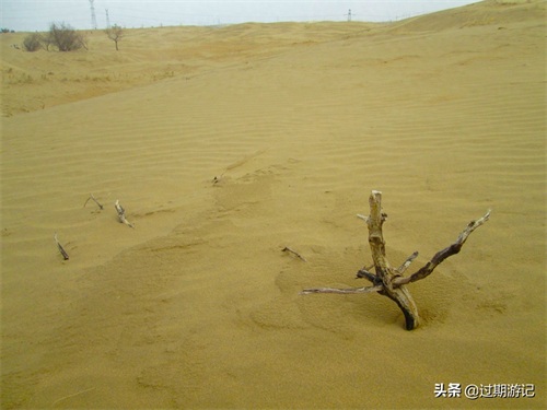 离北京最近的沙漠：库布齐沙漠