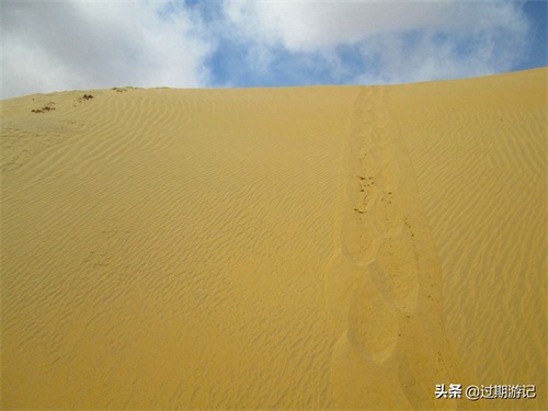 离北京最近的沙漠：库布齐沙漠