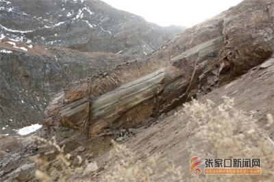 ​探秘张家口网红“木化石” 专家告诉你它的“前世今生”