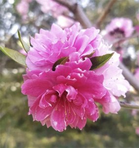 ​通俗解读“眼观六路，耳听八方”