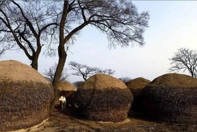 ​鲁西南记忆——麦秸垛