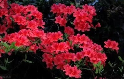 ​50岁女人自述：肉体出轨不是事，心在就好，可事实让我很后悔