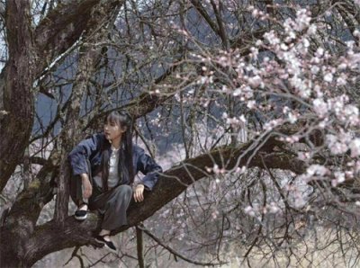 ​李子柒为何火遍全球？其实理由很简单，只因她的内容有这两个特点