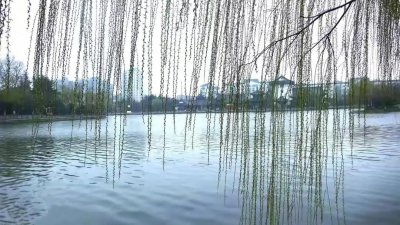 ​你知道书画家落款时对十二个月份用“花名”的雅称吗