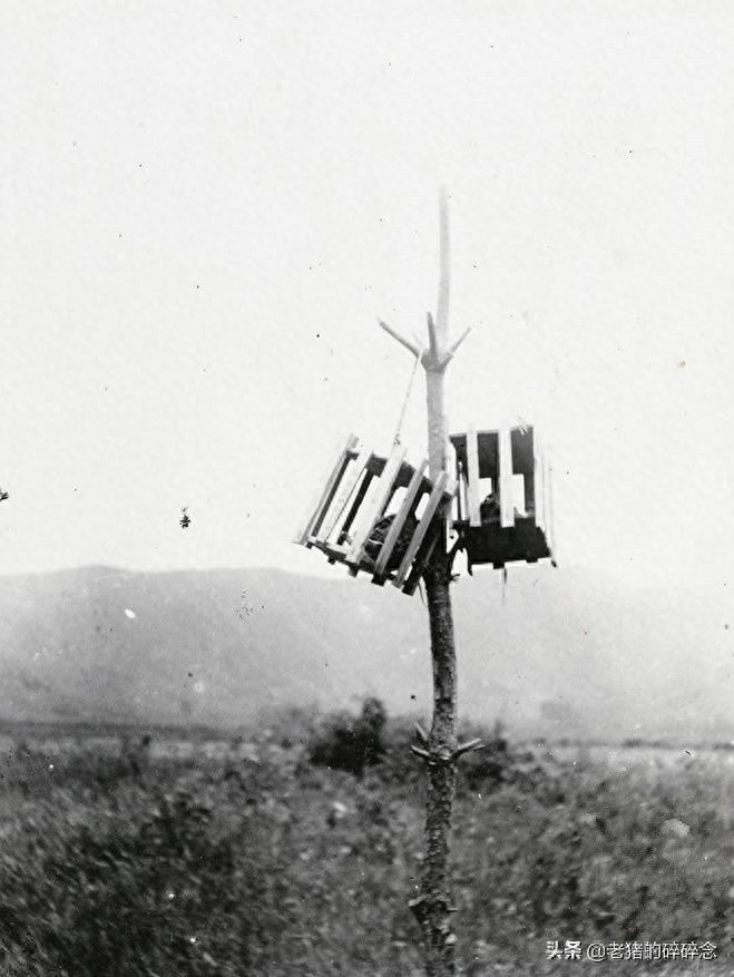 直击清末刑场，图1是刽子手，图3正在吃上路饭，图4是枭首示众