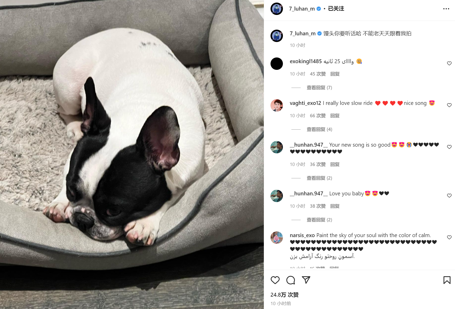 笑不活了!鹿晗与知名狗仔隔空对喷,互相暗骂不带一个脏字