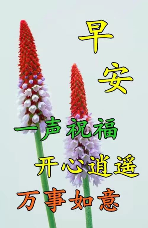 6月几号是父亲节（6月19父亲节感恩父亲）