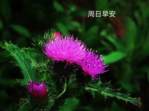 6月几号是父亲节（6月19父亲节感恩父亲）