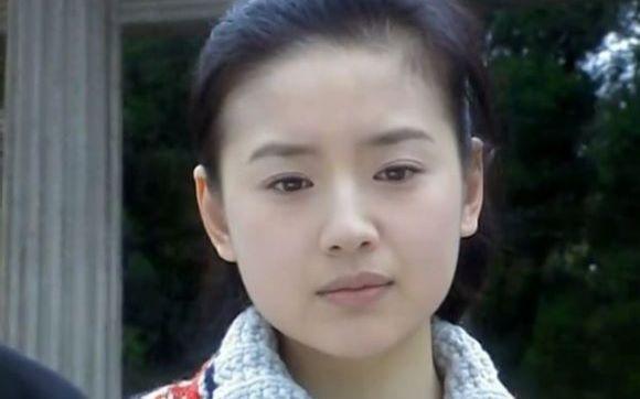 董洁个人简历，董洁女演员(演员董洁的资料)