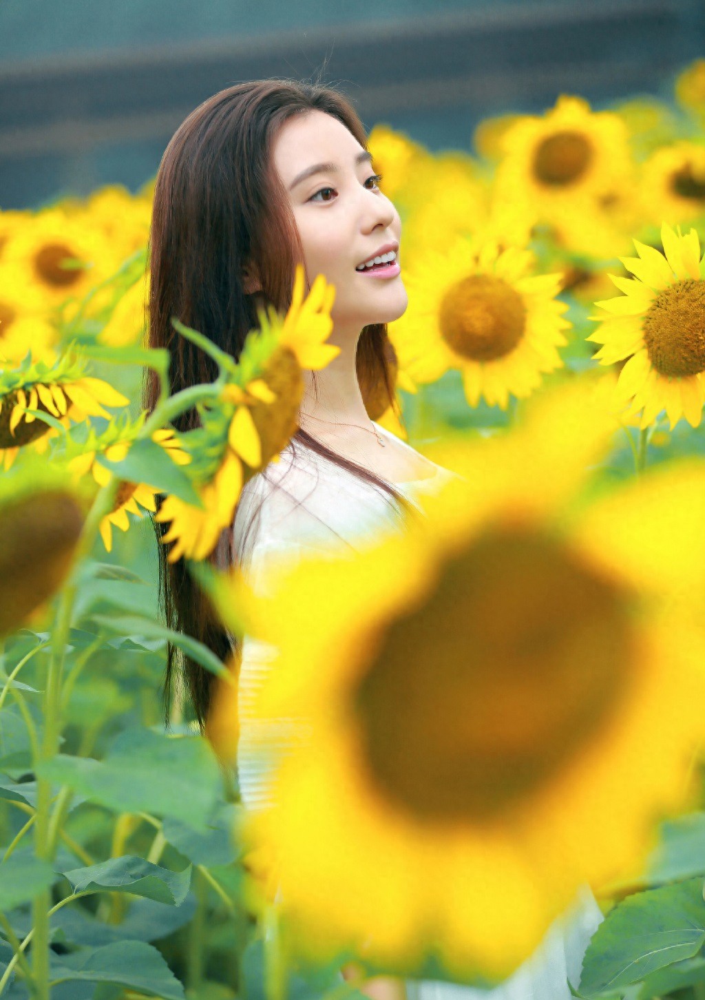 有“北电最美女生”之称的鲍天琦像是一张白纸，可塑性很强