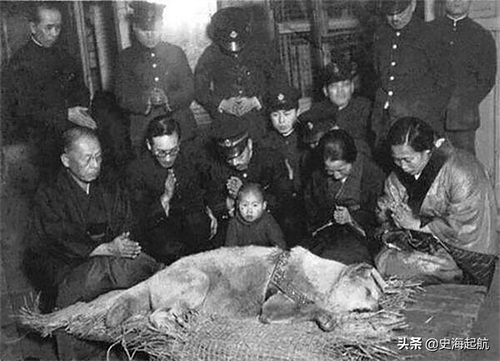 忠犬八公真实照片，主人已不在人世，但它每天仍然坐那盼主人回来