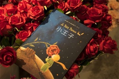 ​大人小孩都适合的《小王子》插画绘本