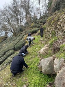 ​“罂粟种子落在地上自己生的”，警方：狡辩无效！