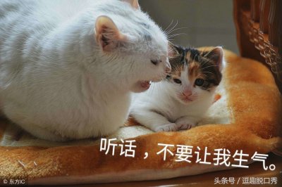 ​搞笑脱口秀段子送给大家