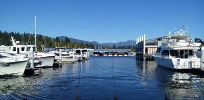 ​那个移民加拿大的中年人，现在后悔了！