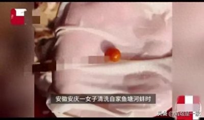 ​珍藏生活中的小惊喜