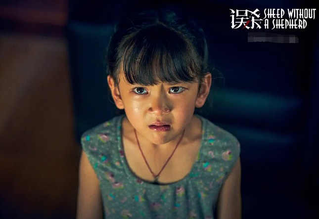 《误杀》主演没一个科班出身,演技却炸裂,陈冲亲女儿演平平垫底