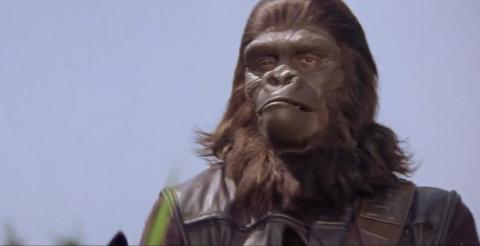 盘点5部关于穿越时空的科幻电影(六大关于时空穿越的科幻佳作)(1)