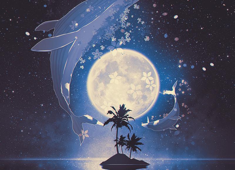 韩国明星收入（韩国艺人片酬到底是多少）