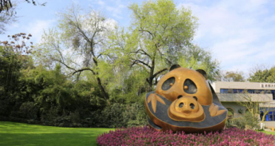 ​成都熊猫基地在哪,熊猫基地在成都哪个区