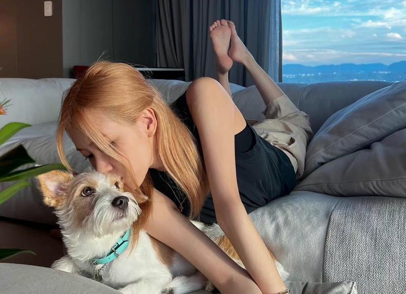 鼻子整形照片（华丽款鼻整形合集—并非人人适配）