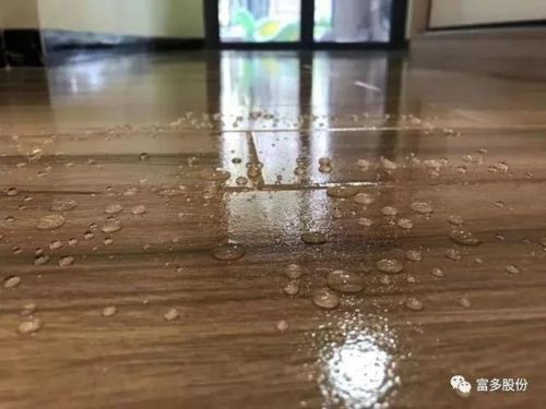 海绵真空吸盘原理(海绵真空吸盘缺点)-第1张图片-