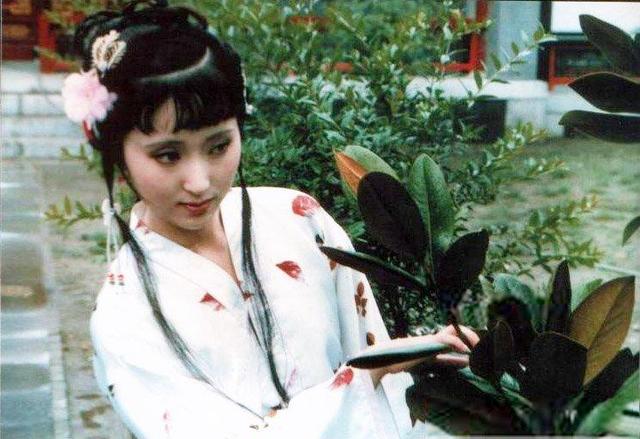 红楼梦薛蟠进京的原因（红楼梦里薛蟠为何要折腾两三年）(2)