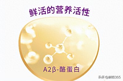 ​订牛奶网站 哪里订奶？