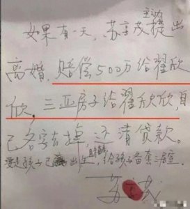 ​知情人透露：翟欣欣或已认罪，判刑10年以上