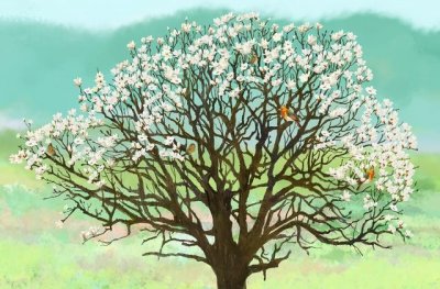 ​各省烟草公司员工每月薪资有多少？难怪那么多人都想进