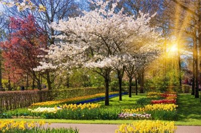 ​农历各月诗意别称