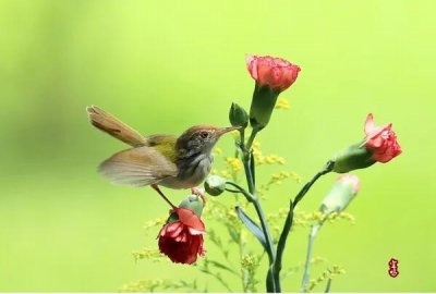 ​《闺怨》王昌龄