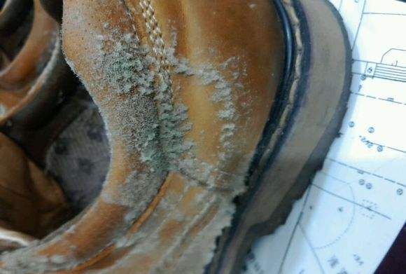 鞋子洗完发霉了怎么办